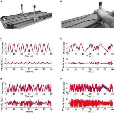 Socio-Motor Improvisation in Schizophrenia: A Case-Control Study in a Sample of Stable Patients